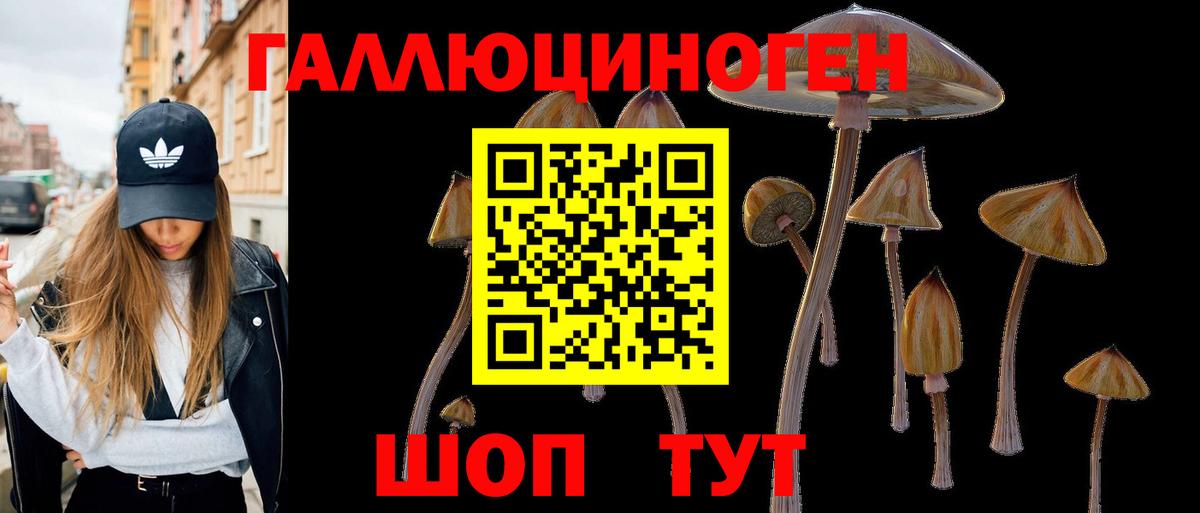 Электрогорск  как найти закладки  Вход с VPN  Галлюциногенные грибы Magic Shrooms  Галлюциногенные грибы мухоморы 