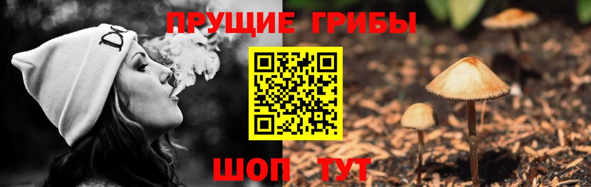 Галлюциногенные грибы GOLDEN TEACHER Электрогорск