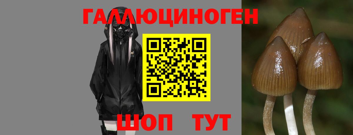 Бутират Электрогорск